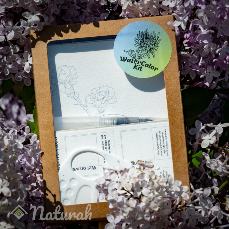 Monthly Flowers WaterColor Set