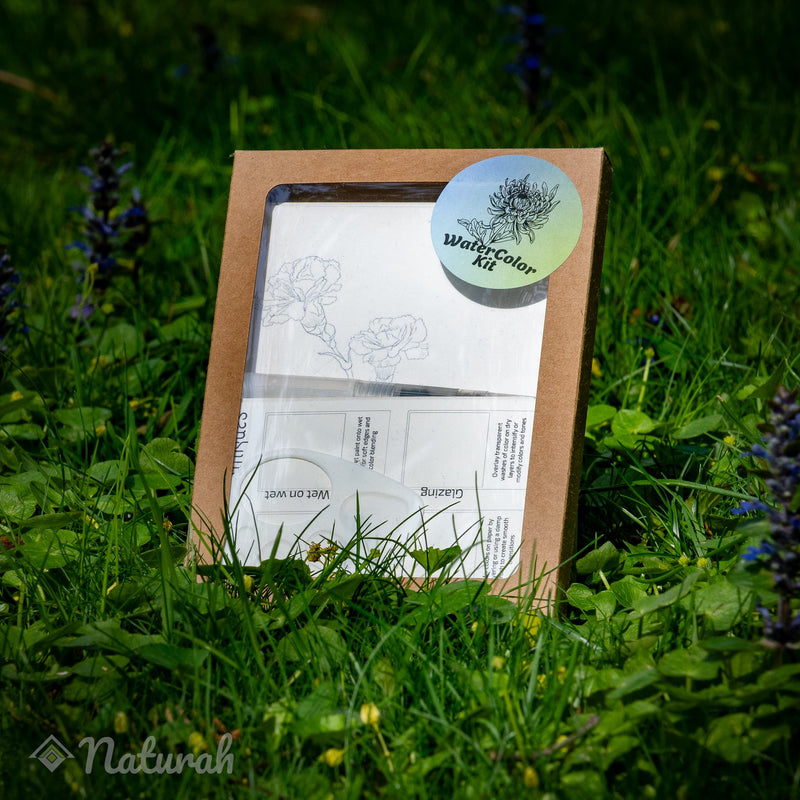 Monthly Flowers WaterColor Set