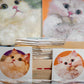 Temporary Tattoos ~ Set of 14 Animal Tattoos