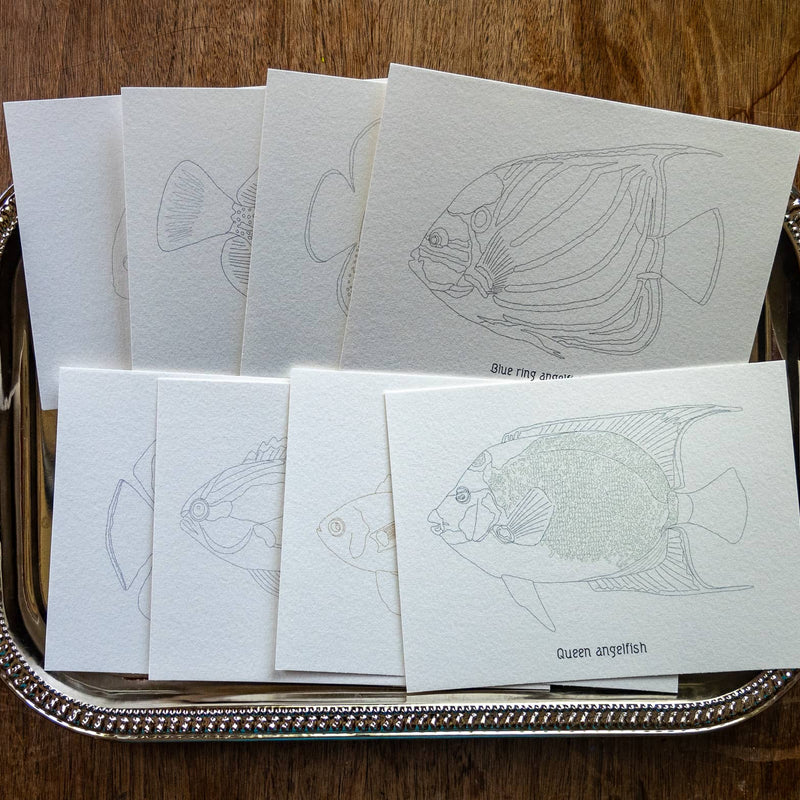 Tropical-Fish WaterColor Set