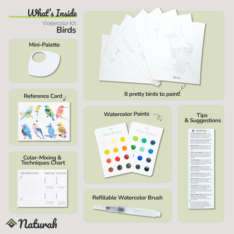 Birds WaterColor Set