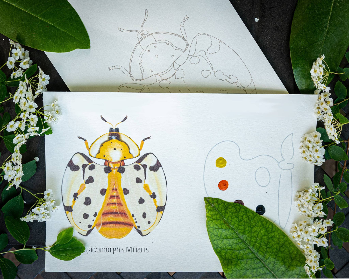 Single Painting Kit ～ Beetles ~ Pre-Selected Paints