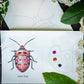 Single Painting Kit ～ Beetles ~ Pre-Selected Paints