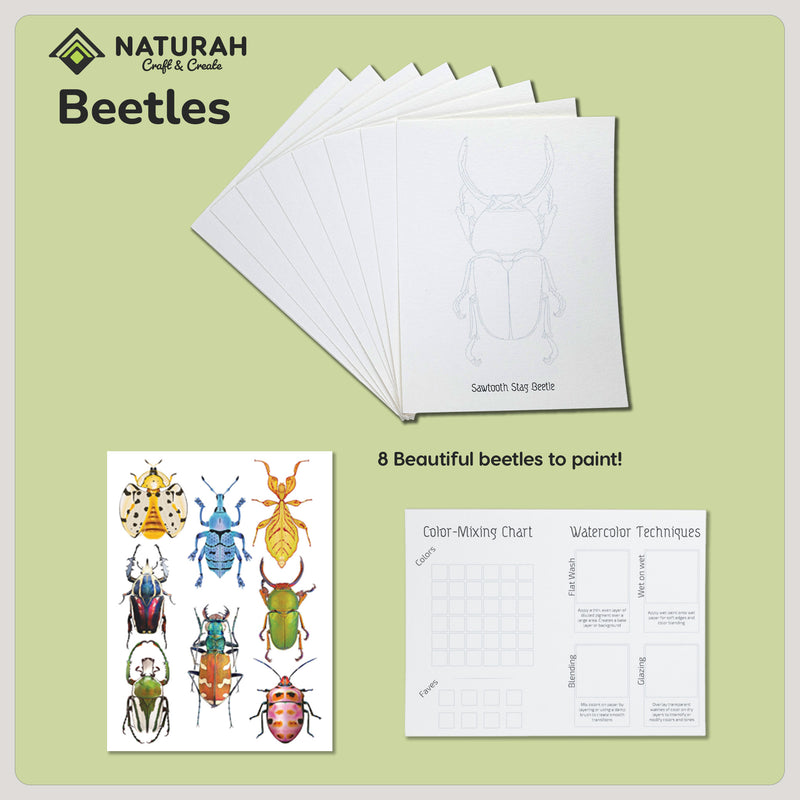 Watercolor Card Refills