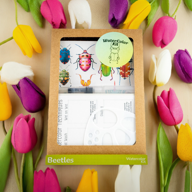 Beetles WaterColor Set