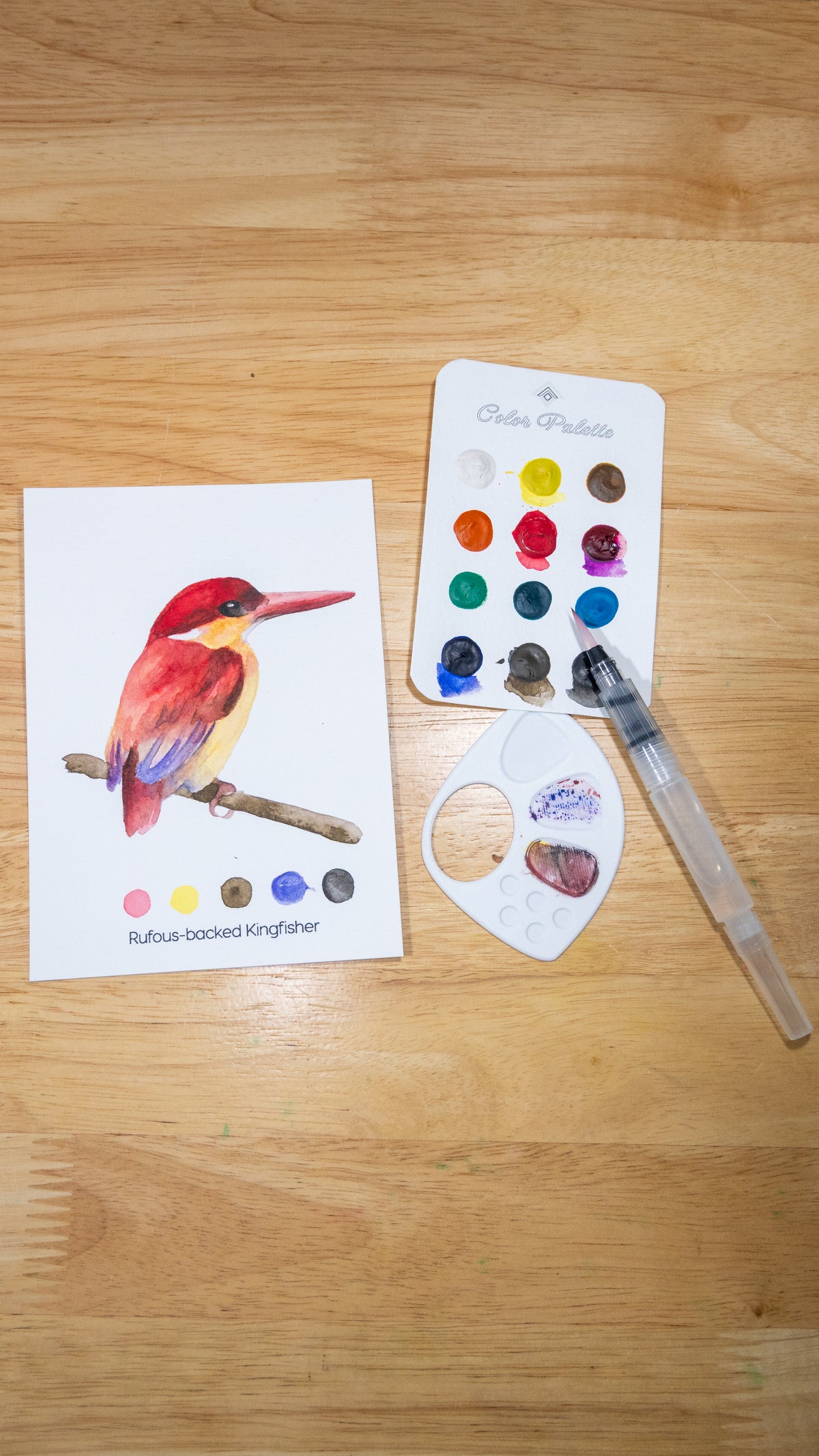 A finished watercolor painting of a Rufous-backed Kingfisher from the Naturah Birds Watercolor Set, beside its color palette card and refillable brush.