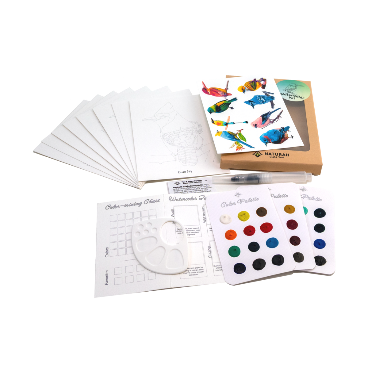 Everything included in the Naturah Birds Watercolor Set, fanned out — 8 bird cards, 36 watercolor paints, refillable brush, mini-palette, color-mixing chart and reference card.